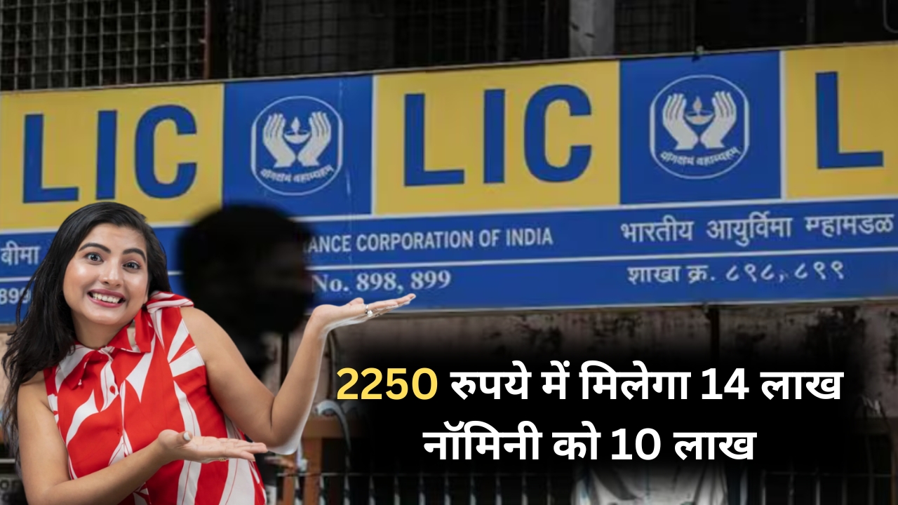 LIC Policy